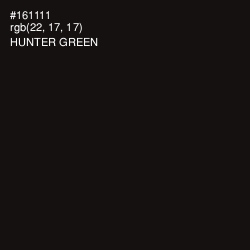 #161111 - Hunter Green Color Image